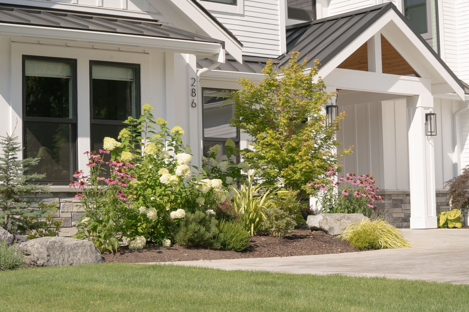 Andreas Fox Island Job